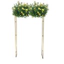 Ver imagem 4 de Kit Gazebo + Esteira de Palha Taboa para Decorar Jardins com Flores, 120cm Portátil e Desmontável