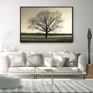 Quadro Decorativo Moderno Arvore Galhos Secos Com Moldura e Sem Vidro 60X90