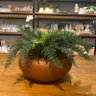 Arranjo Completo de Samambaia Centro de Mesa Grande Vaso Cobre Decore Fácil Shop - 5