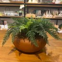 Ver imagem 1 de Arranjo Completo de Samambaia Centro de Mesa Grande Vaso Cobre Decore Fácil Shop