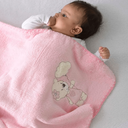 Ver imagem 2 de Manta Bebe Microfibra Soft Baby Bordada 85 Cm X 1,00 M:ursa Nuvem Rosa