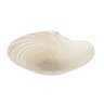 Centro de Mesa de Vidro Concha Perolada 33cm X 8,5cm - Wolff - 1
