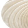 Centro de Mesa de Vidro Concha Perolada 33cm X 8,5cm - Wolff - 4