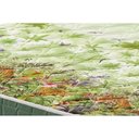 Ver imagem 5 de Colchão Solteiro Ortopédico D28 / Ag 65 Pantanal Green (88x188x20) - D Angelis Anjos