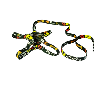 Conjunto Peitoral e Guia Ajustável RBPet - Cães e Animais de Micro Porte