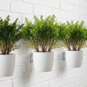 Ver mais imagens de Kit de 12 Buquês de Samambaia Artificial 35cm Folhas Verdes Realistas para Ambientes e Festas