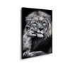Quadro Decorativo Leão Preto e Branco a Proteção Filhote - 1