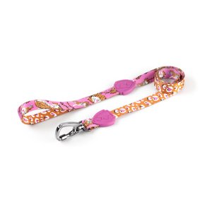 Freefaro Guia Tradicional 1,2m Savage - P