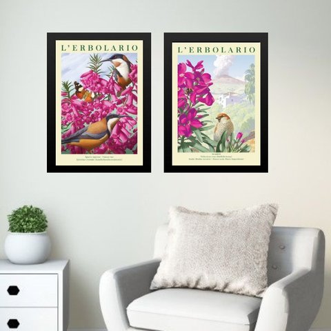Kit 2 Quadros Passarinhos com Flores Rosas 45x34cm:moldura Branca
