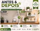 Ver imagem 5 de Nicho Prateleira U 20/30/40 Branco MDP Decorativo 10 Profunidade