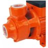 Bomba D´água Periférica 1/2 Hp Bp500 Intech Machine Cor Laranja Frequência 60 Hz 127v 110v - 3
