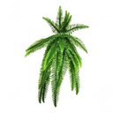Ver imagem 6 de Kit 2 Planta Artificial Samambaia Ornamental Exótica 1,10m