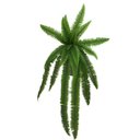 Ver imagem 2 de Kit 2 Planta Artificial Samambaia Ornamental Exótica 1,10m