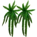 Ver imagem 1 de Kit 2 Planta Artificial Samambaia Ornamental Exótica 1,10m