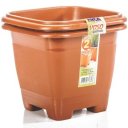 Ver imagem 5 de 24 Vasos Pequeno Quadrado 800ml Cerâmico Plantas E Flores