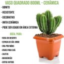 Ver imagem 3 de 24 Vasos Pequeno Quadrado 800ml Cerâmico Plantas E Flores