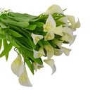 Ver imagem 3 de Arranjo Mini Copos de Leite Brancos