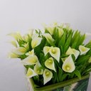 Ver imagem 4 de Arranjo Mini Copos de Leite Brancos