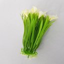 Ver imagem 2 de Arranjo Mini Copos de Leite Brancos