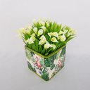 Ver imagem 1 de Arranjo Mini Copos de Leite Brancos