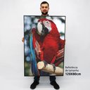 Ver imagem 2 de Quadro Decorativo em Canvas Arara Vermelha TaColado Moldura Flutuante 4,5cm Freijó 120 x 80cm