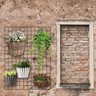 Tela Organizador de Plantas para Seu Jardim Parede 60x80cm - 4