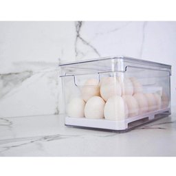 Kit 2 Organizadores de Geladeira Porta Ovos 36 Un Porta Frutas Legumes Verduras 5l Clear Fresh ou - 3