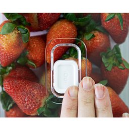 Kit 2 Organizadores de Geladeira Porta Ovos 36 Un Porta Frutas Legumes Verduras 5l Clear Fresh ou - 8
