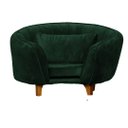 Ver imagem 1 de Poltrona Pet Baby Lady Cães e Gatos Confortável Apartamento Luxo Veludo Verde