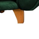 Ver imagem 4 de Poltrona Pet Baby Lady Cães e Gatos Confortável Apartamento Luxo Veludo Verde