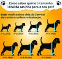 Ver imagem 4 de Casinha de Cachorro Simples N°7