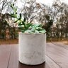 Kit Vaso de Cimento Redondo para Plantas e Jardim Vasinho de Suculentas Joelma Decorações Cm01c - 3