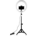 Ver imagem 1 de Kit Completo Ring Light com Tripé