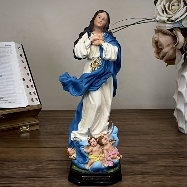 Imagem Nossa Senhora da Conceição 20cm Resina