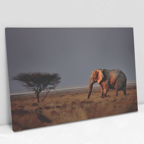 Quadro Decorativo em Canvas Elefante na Savana - Moldura Madeira - 90 x 60cm