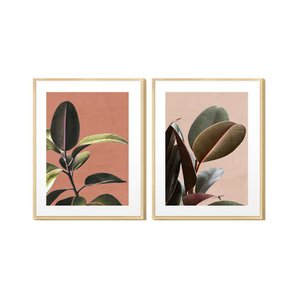 Kit 2 Quadros Decorativos Dolhagens Plantas Verde
