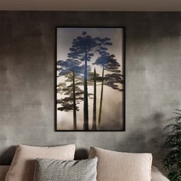 Quadro Decorativo Paisagem Araucaria Angustifolia com Moldura e Vidro Preto - 100x70 Cm - 1