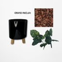 Ver imagem 3 de Arranjo de Flor Jiboia Artificial em Vaso de Plástico Cor:Preto