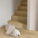 Ver imagem 3 de Piso Laminado Quick Step Impressive 1,83m² Carvalho Suave Médio