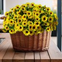 Ver imagem 6 de 5 Flores Artificiais Margaridas Amarelas Decoração Temática de Festa Realista Qualidade Exclusiva