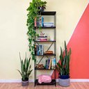 Ver imagem 1 de Estante Torre Industrial de Ferro e Madeira Slim 6 Prateleiras Tabaco e Preto