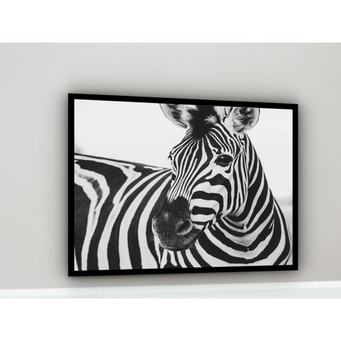 Quadro Decorativo Fotografia Zebra Preto e Branco - 70x50cm:moldura Preta