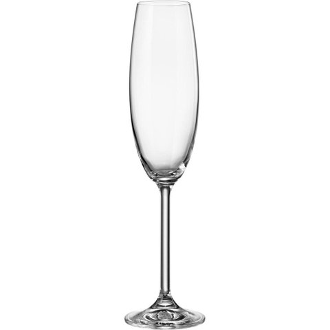 Kit 6 Taça Bohemia Natalia Maxima Champanhe 26x6x6cm 230ml Cristal Transparente