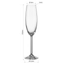Ver imagem 3 de Kit 6 Taça Bohemia Natalia Maxima Champanhe 26x6x6cm 230ml Cristal Transparente