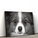 Ver imagem 1 de Quadros Decorativos de Pvc 048 - 50 X 75 Cm