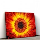 Ver imagem 1 de Quadros Decorativos de Pvc 004 - 50 X 75 Cm