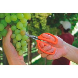 Tesoura P/ Frutas C/ Lâm. em Aço Inox - Tramontina 78310501 - 2