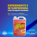 Ver imagem 3 de Limpa Pisos Azulejos Removedor de Sujeira Limpeza Pesada e Pós-obra Perfecto Removex 5l - Mabe Magaz