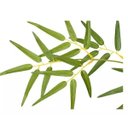 Ver imagem 3 de Árvore Artificial Bambu Verde com Galho Amarelo 1,9m