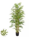 Ver imagem 1 de Árvore Artificial Bambu Verde com Galho Amarelo 1,9m
